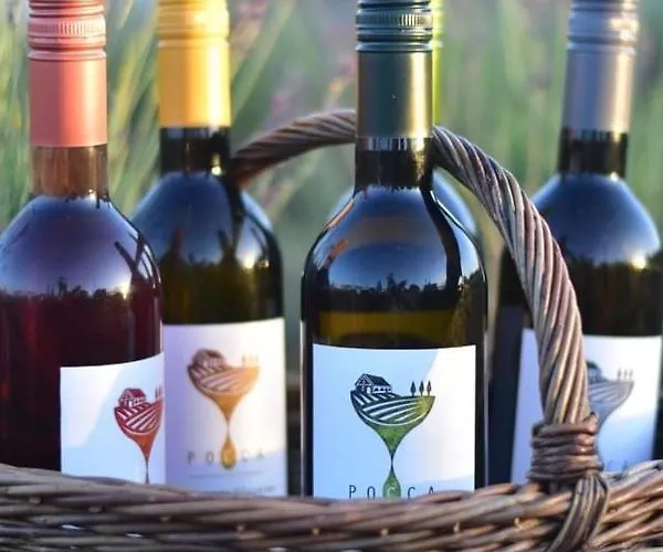 公寓 Luxury In Balatonalmadi, Almadi Lux Ii - Crystal White